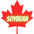 Soybean