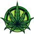 Cannabis