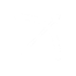 Singularity12