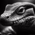 Lizard_King