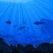More information about "Barnacle Reef Custom Map"