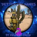 More information about "Better NPC Names"