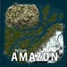More information about "AMAZON (custom map)"