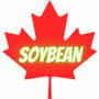 Soybean