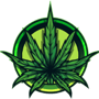 Cannabis
