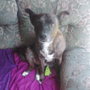 tacman1981