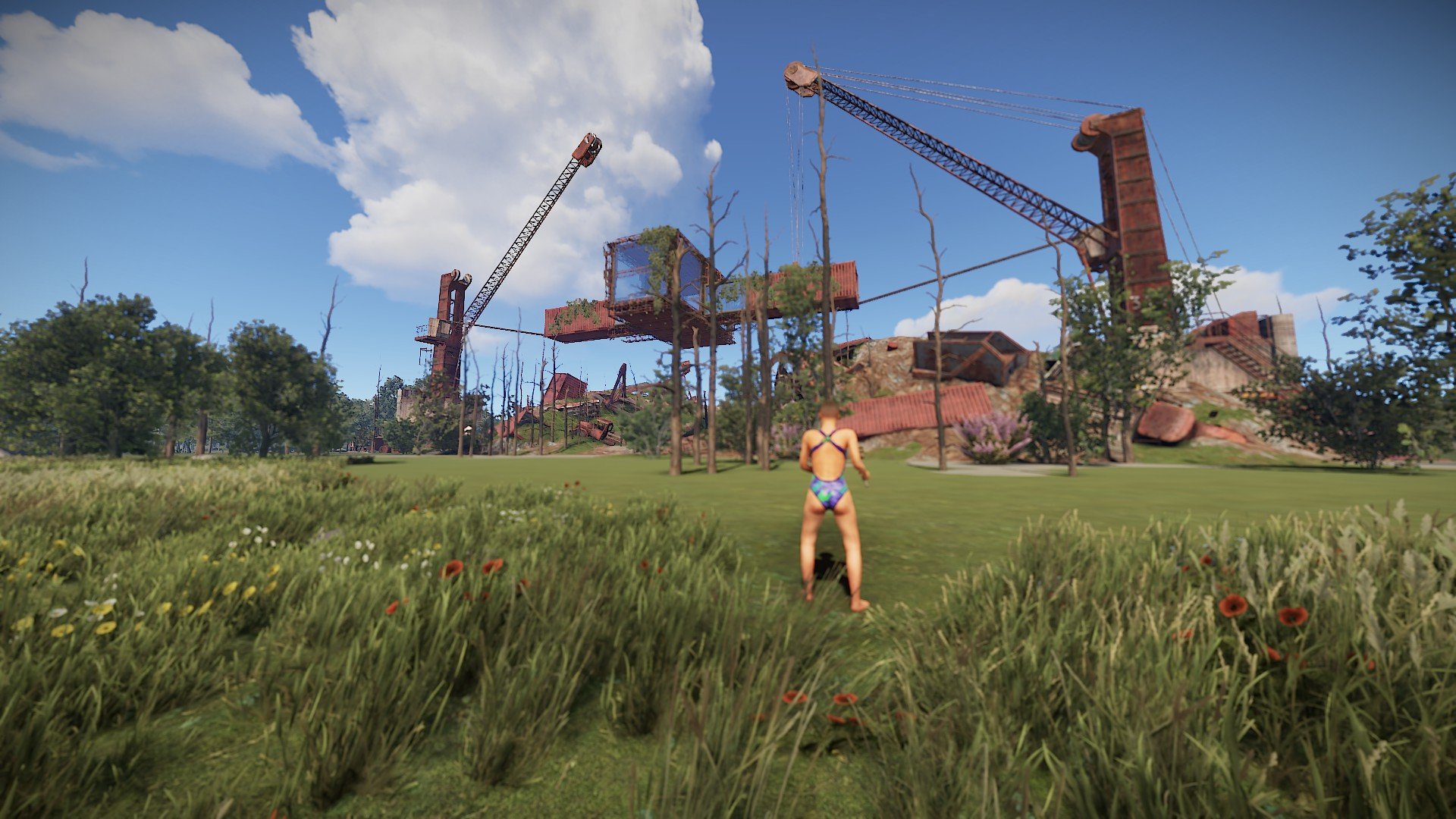 Base on cranes (Build Base)