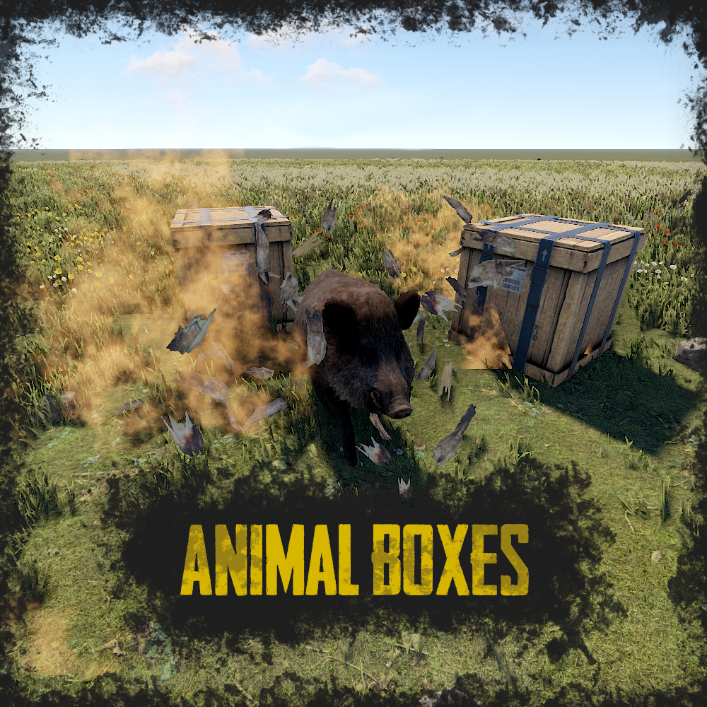 Animal Boxes