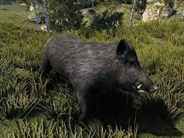 More information about "Instant Animal/NPC Kill"