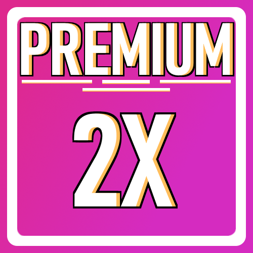 Premium 2x Server