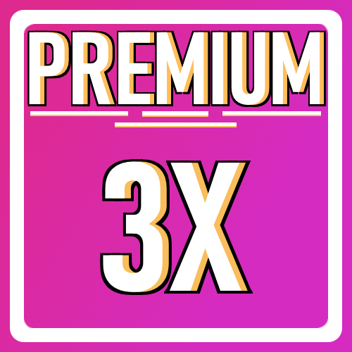 Premium 3x Server