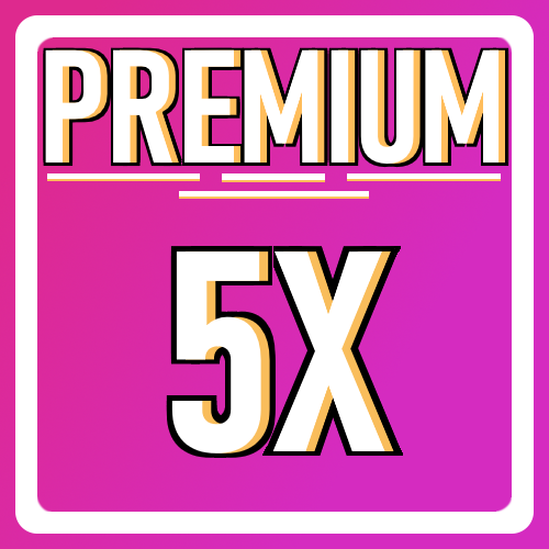 Premium 5x Server