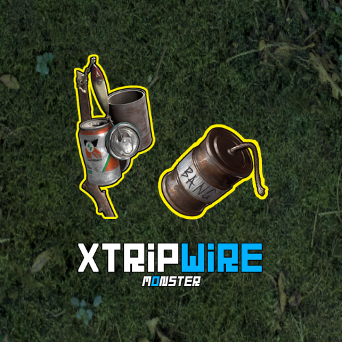 More information about "XTripwire"