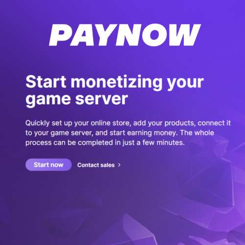 More information about "PayNow.gg Store"