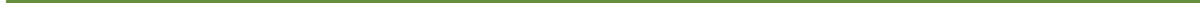 IQTravellingVendor
