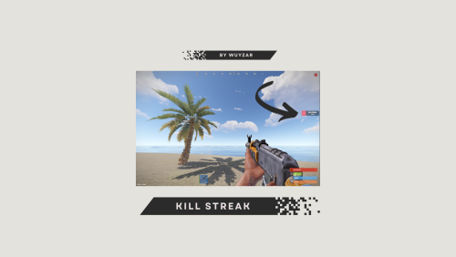 More information about "KILL STREAK"