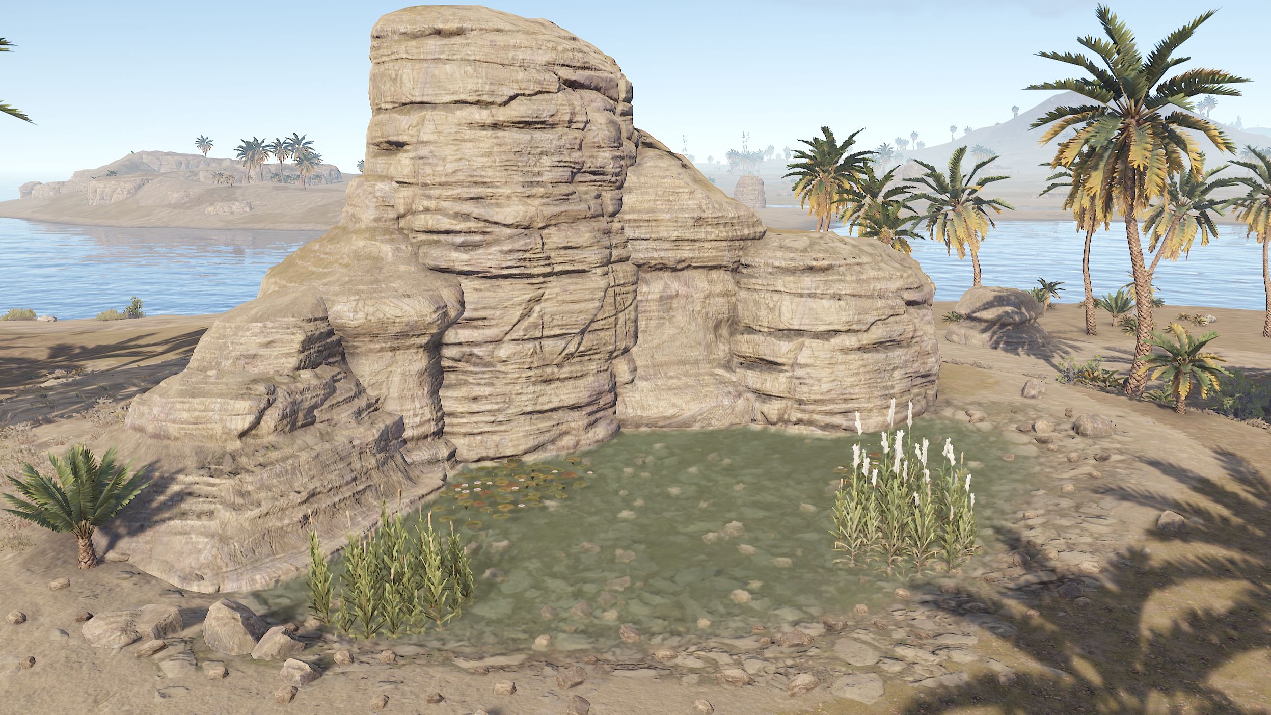 Desert Oasis Pack