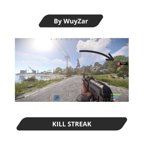 More information about "KILL STREAK"