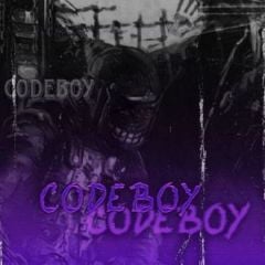 codeboy