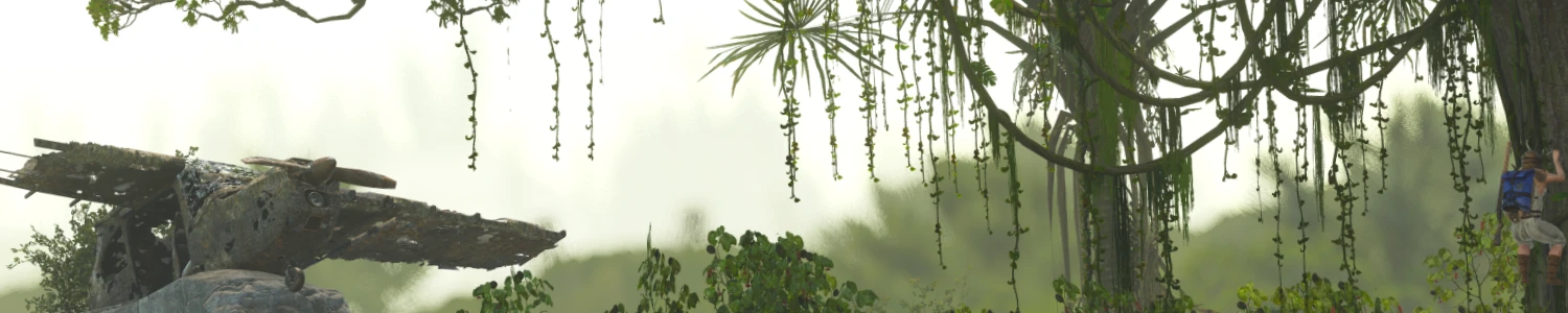 Header_2.webp.f09fdc1698b173ba8aa4cb44f0468471.webp