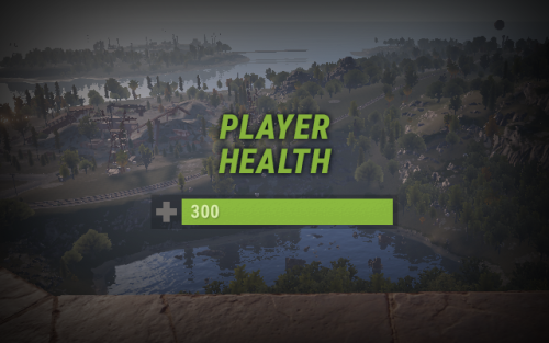 More information about "Player Health"