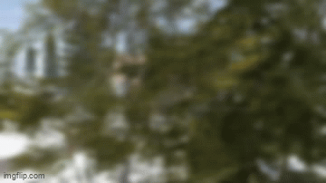 More information about "Santa's Villa"