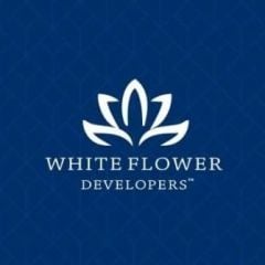 whiteflower01