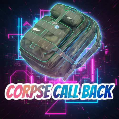 More information about "CorpseCallBack"