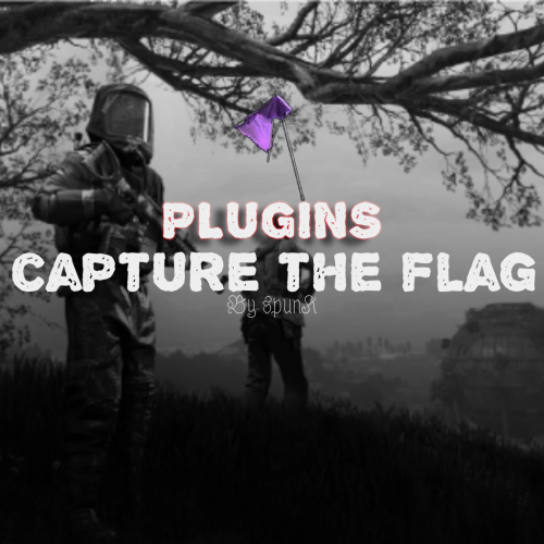 More information about "Capture The Flag"