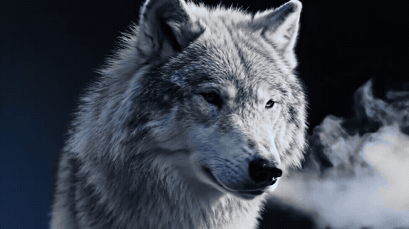 More information about ""