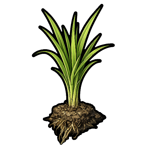 Rice-Seedlings.png.49e759c16922d98050645bd3f422f4b5.png