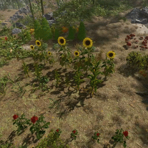 More information about ""