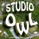 studio_owl
