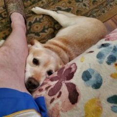 Tyler Lynn Leatherman