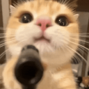 SpaceCat