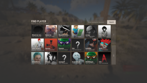 More information about "Report System"