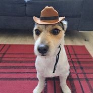 Broomestick