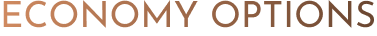 economyoptions.png.d27d98680fa1aba74400c49747a23aa8.png