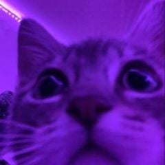 r0wc3t