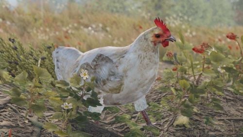 More information about "Protect Animals"