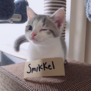 Smikkel