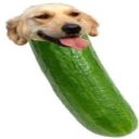 Gooseoma