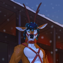 nordicreign