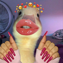 mrbayyy1