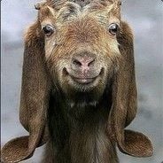 Voxtort