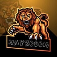 Hayzoom