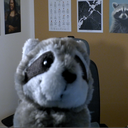 RaccoonJojo