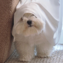 KKU
