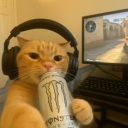 tchva0