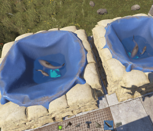 More information about "SharkFarm"